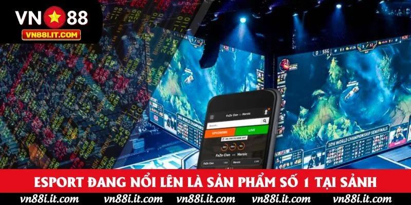 Esport đang nổi lên là sản phẩm số 1 tại sảnh